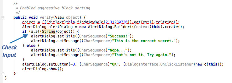 User Input Check